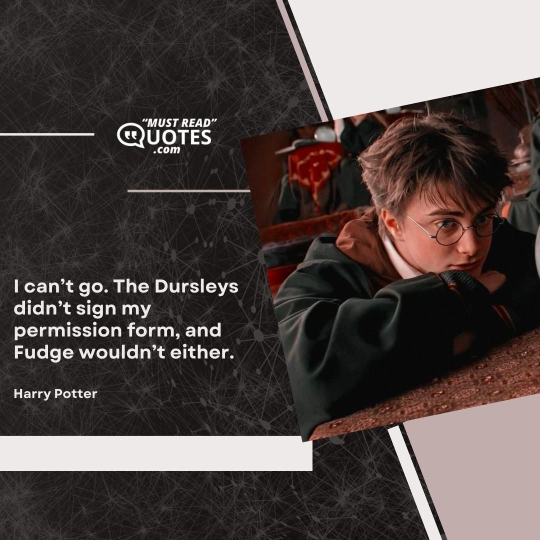 I can’t go. The Dursleys didn’t sign my permission form, and Fudge wouldn’t either.