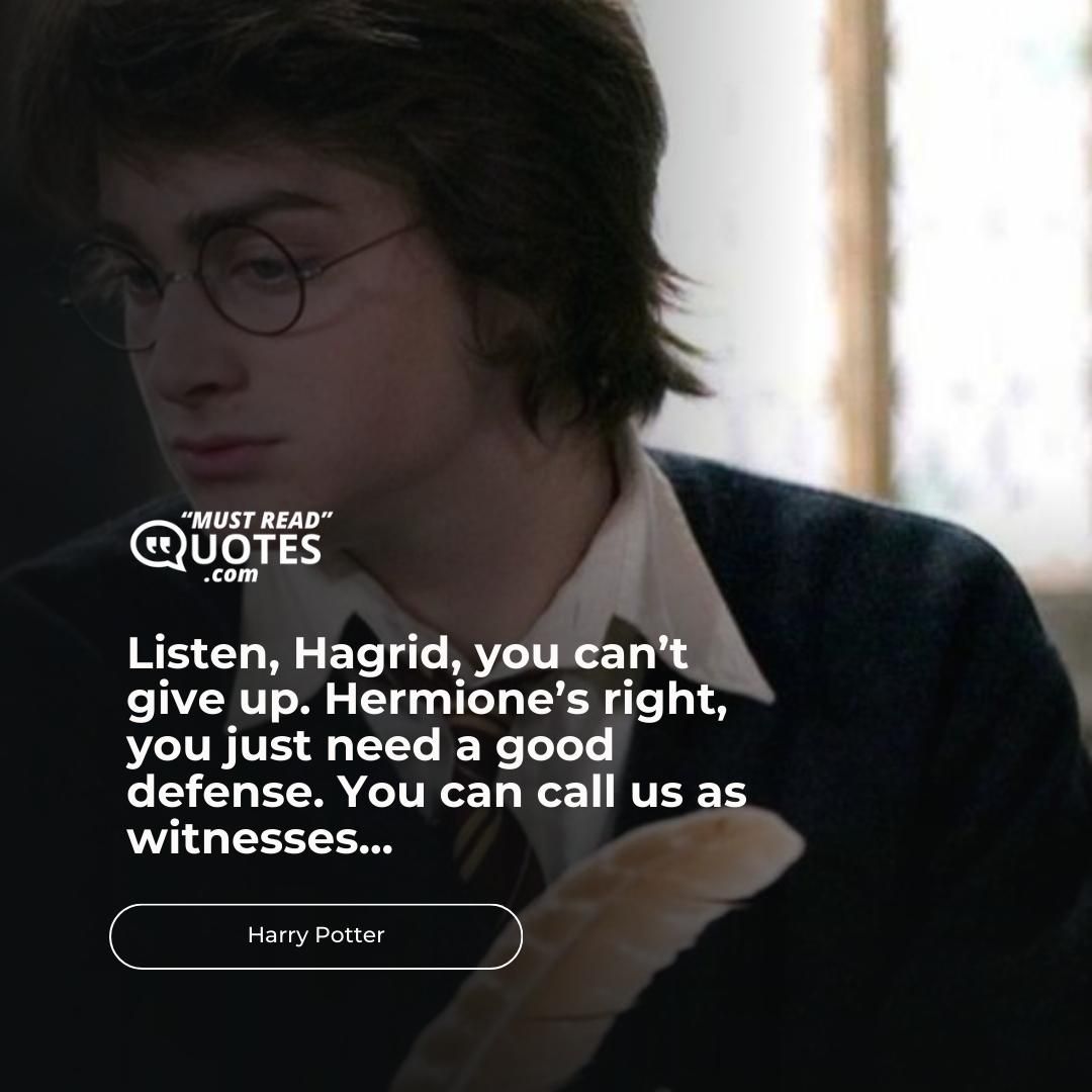 Listen, Hagrid, you can’t give up. Hermione’s right, you just need a good defense. You can call us as witnesses...