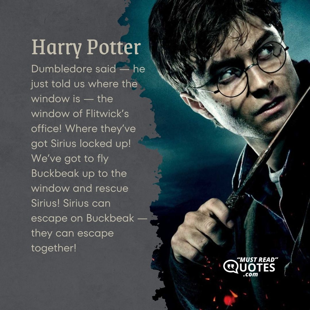 Dumbledore said — he just told us where the window is — the window of Flitwick’s office! Where they’ve got Sirius locked up! We’ve got to fly Buckbeak up to the window and rescue Sirius! Sirius can escape on Buckbeak — they can escape together!