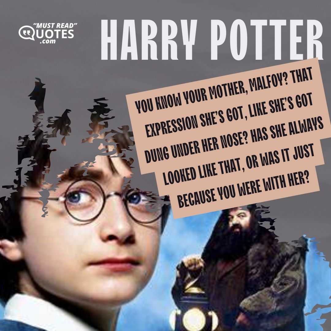 You know your mother, Malfoy? That expression she’s got, like she’s got dung under her nose? Has she always looked like that, or was it just because you were with her?