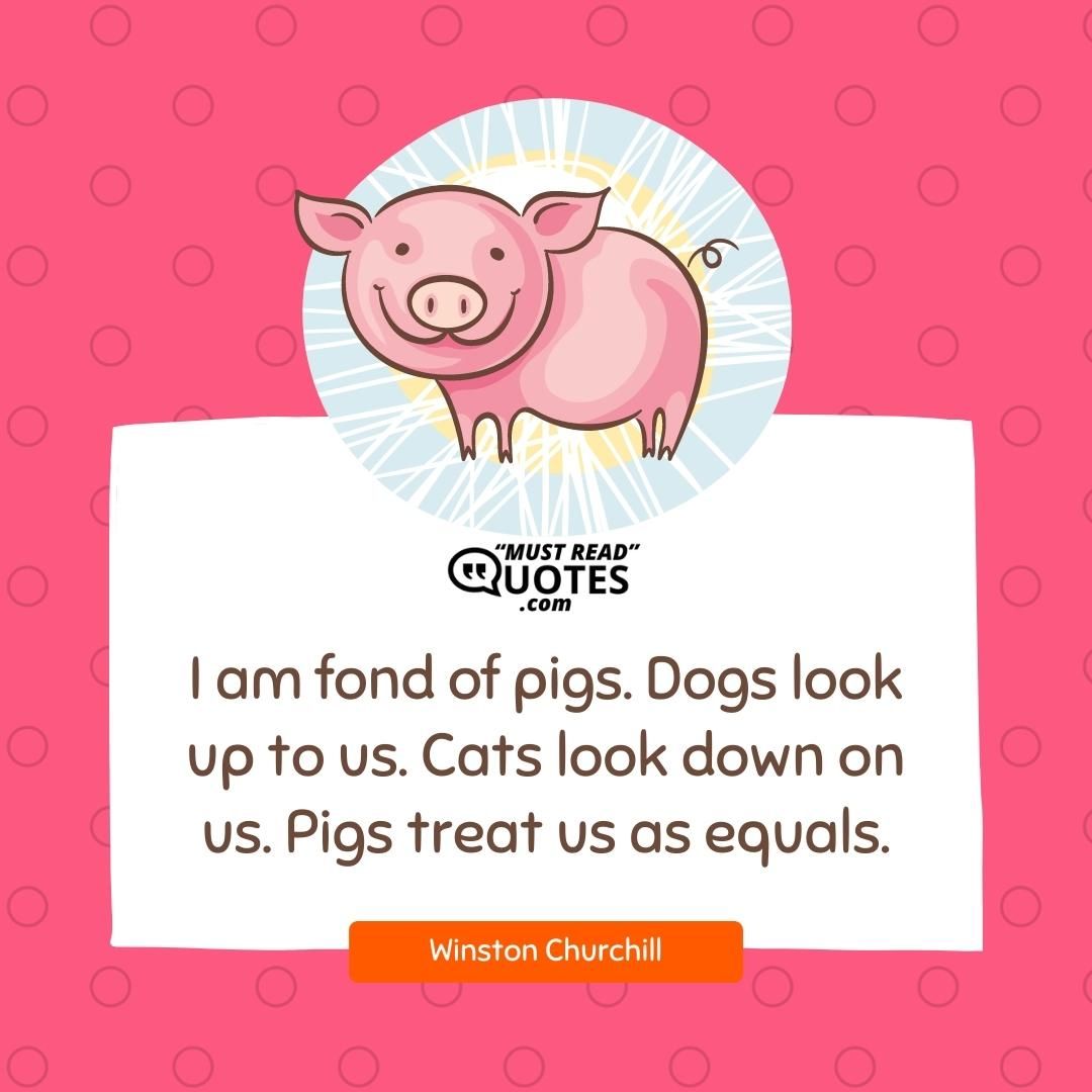 I am fond of pigs. Dogs look up to us. Cats look down on us. Pigs treat us as equals.