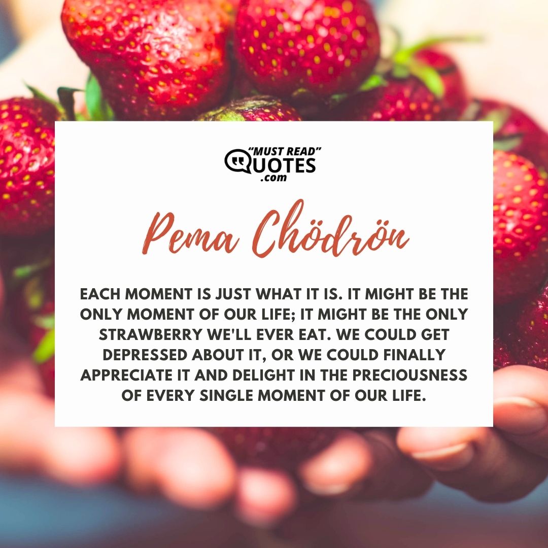 Each moment is just what it is. It might be the only moment of our life; it might be the only strawberry we'll ever eat. We could get depressed about it, or we could finally appreciate it and delight in the preciousness of every single moment of our life.