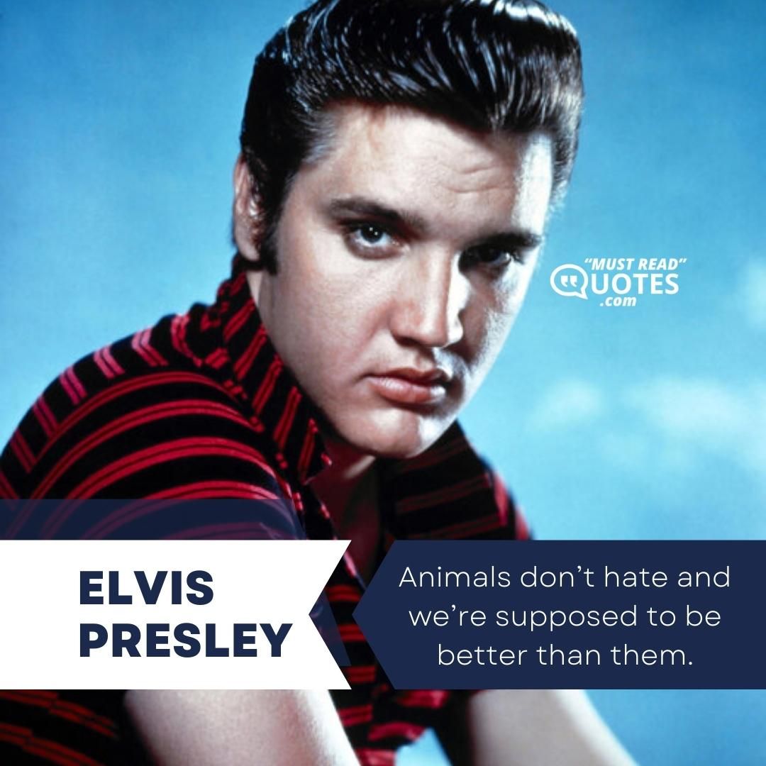 Animals don’t hate and we’re supposed to be better than them.