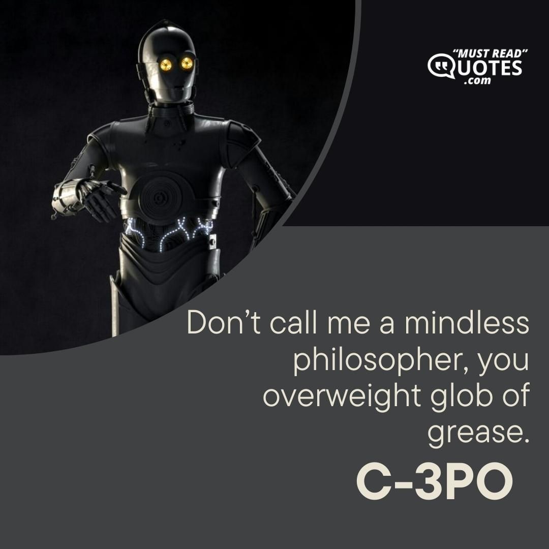 Don’t call me a mindless philosopher, you overweight glob of grease.