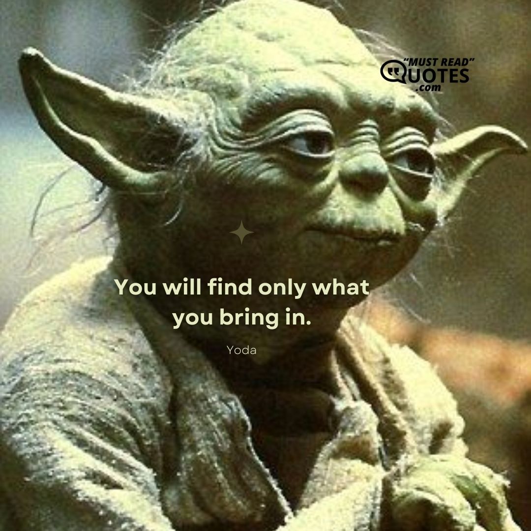 You will find only what you bring in.