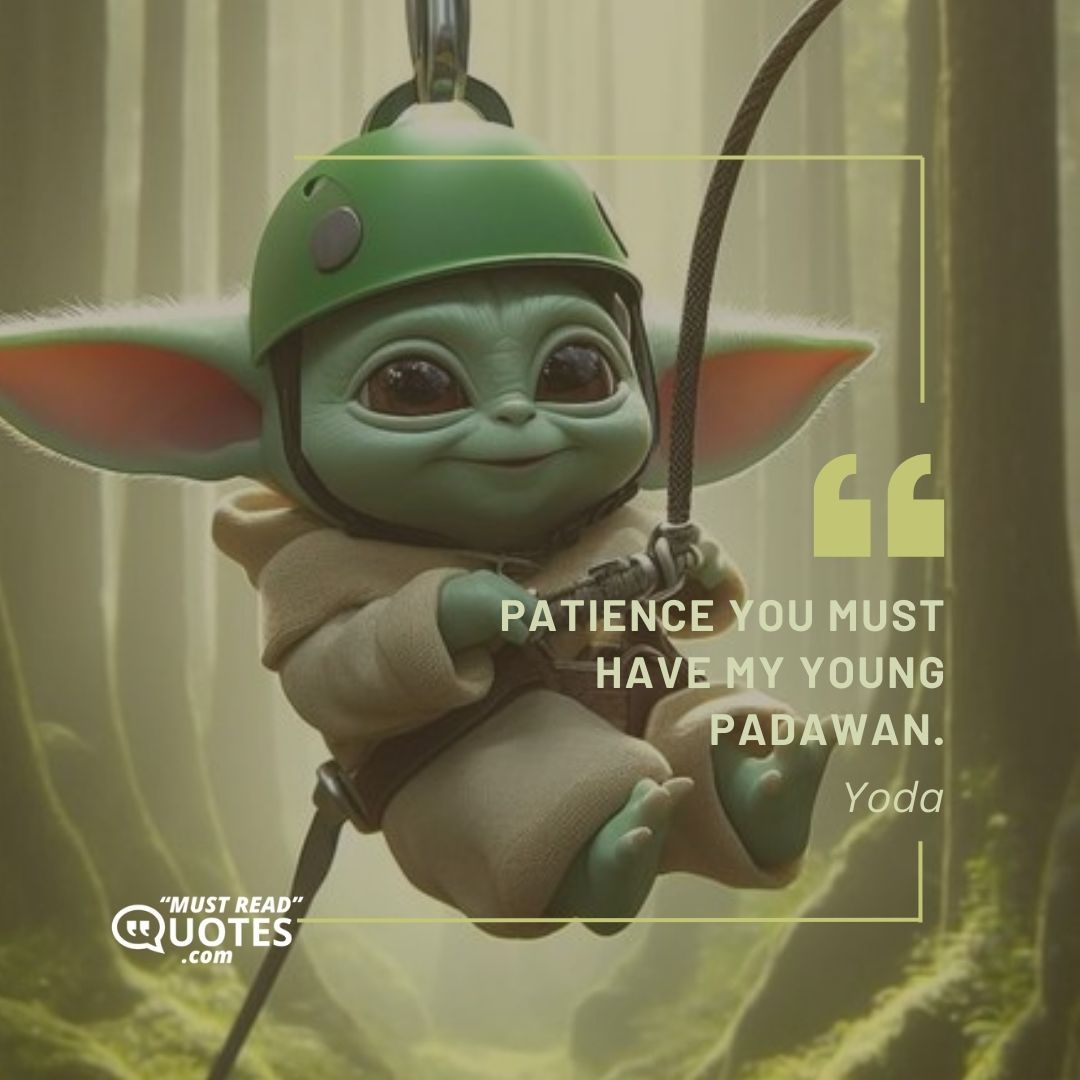 Patience you must have my young Padawan.