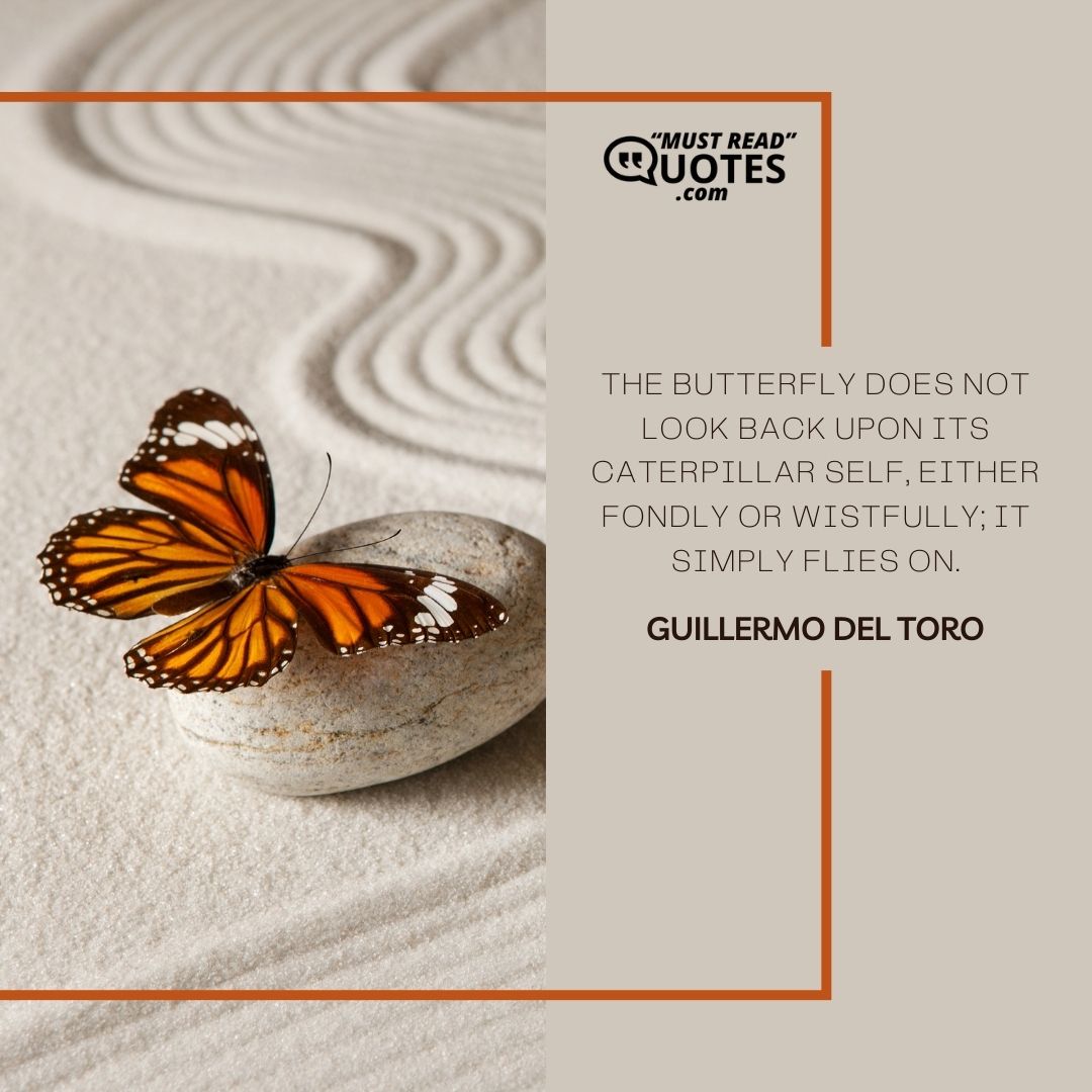 The butterfly does not look back upon its caterpillar self, either fondly or wistfully; it simply flies on.