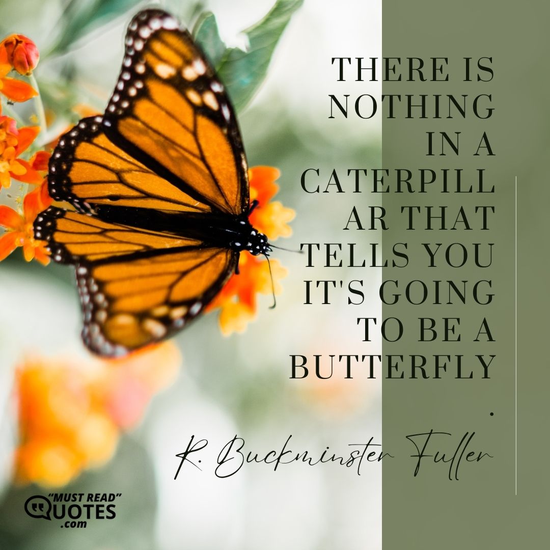 There is nothing in a caterpillar that tells you it's going to be a butterfly.