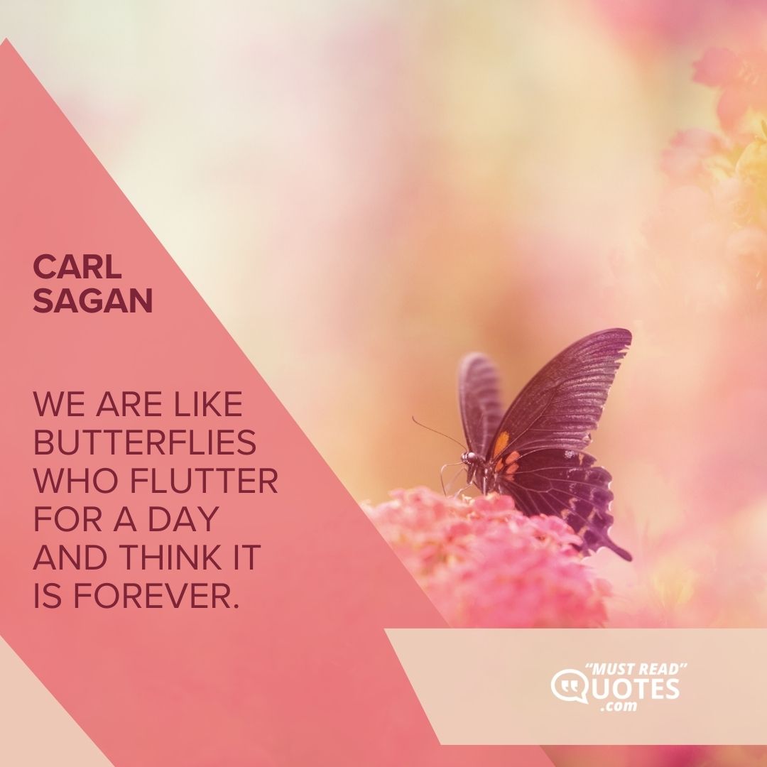 We are like butterflies who flutter for a day and think it is forever.