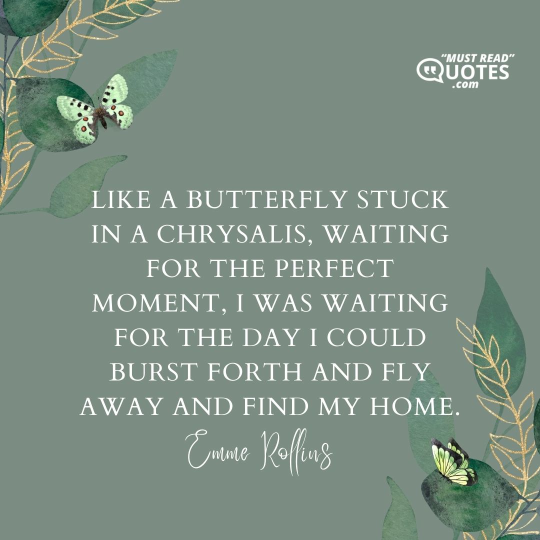 Like a butterfly stuck in a chrysalis, waiting for the perfect moment, I was waiting for the day I could burst forth and fly away and find my home.