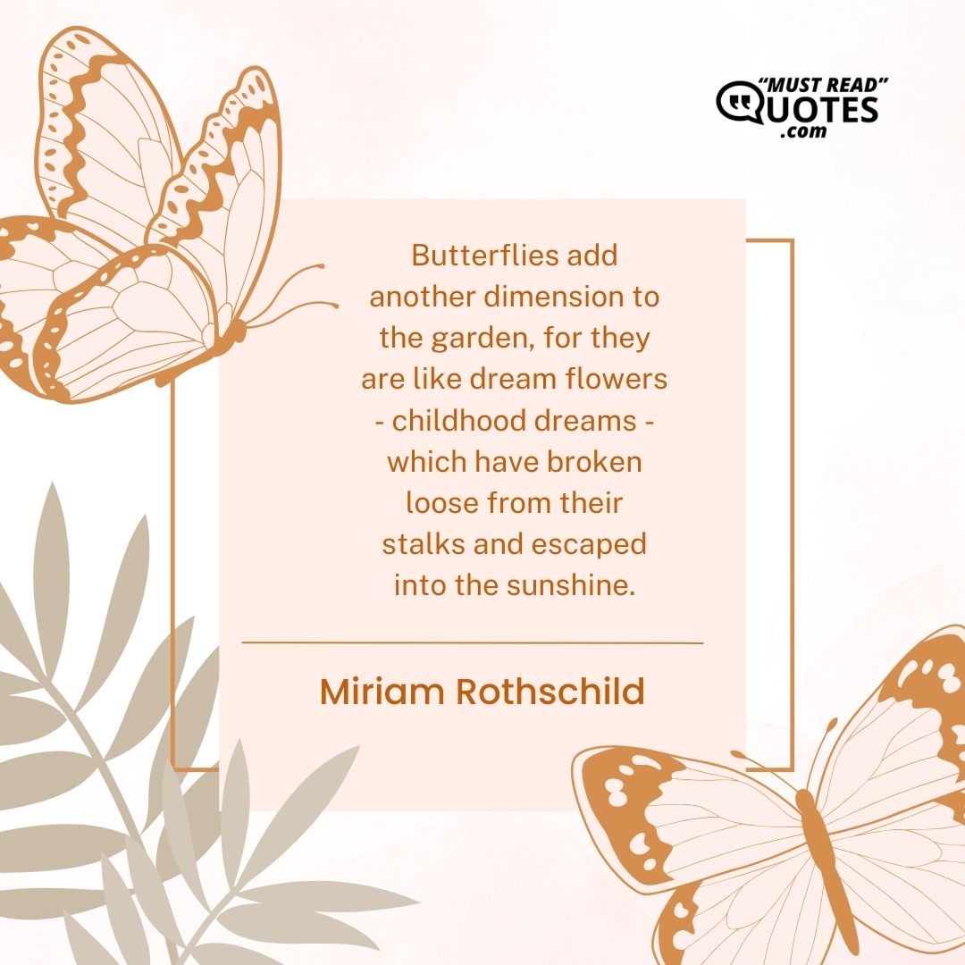 Butterflies add another dimension to the garden, for they are like dream flowers - childhood dreams - which have broken loose from their stalks and escaped into the sunshine.