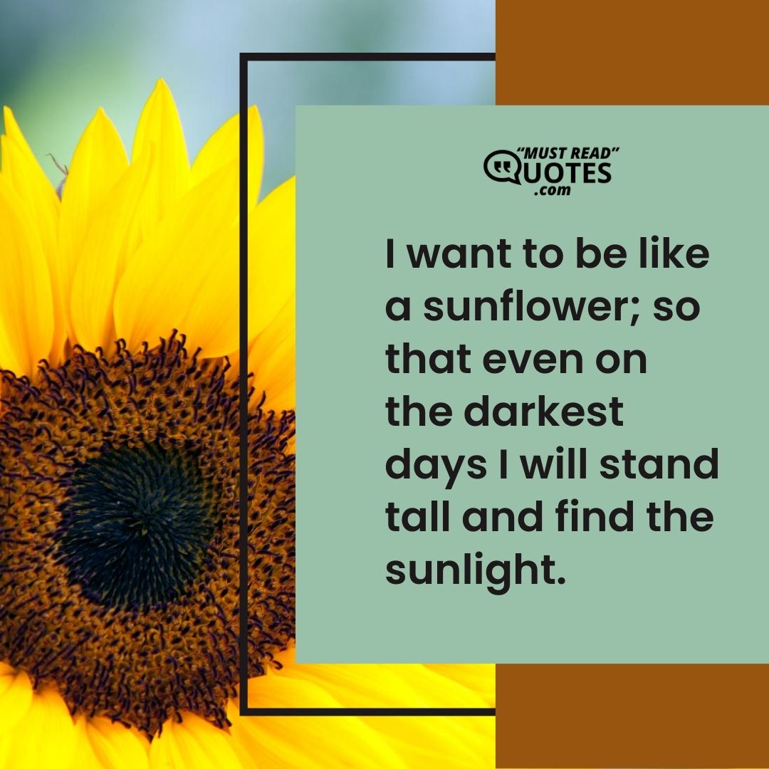 I want to be like a sunflower; so that even on the darkest days I will stand tall and find the sunlight.