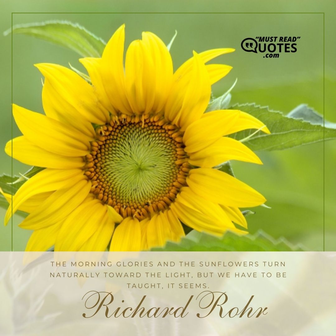 The morning glories and the sunflowers turn naturally toward the light, but we have to be taught, it seems.