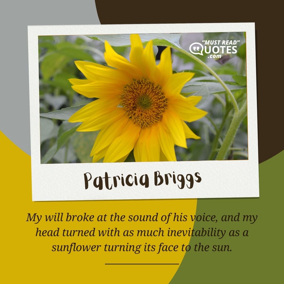 My will broke at the sound of his voice, and my head turned with as much inevitability as a sunflower turning its face to the sun.