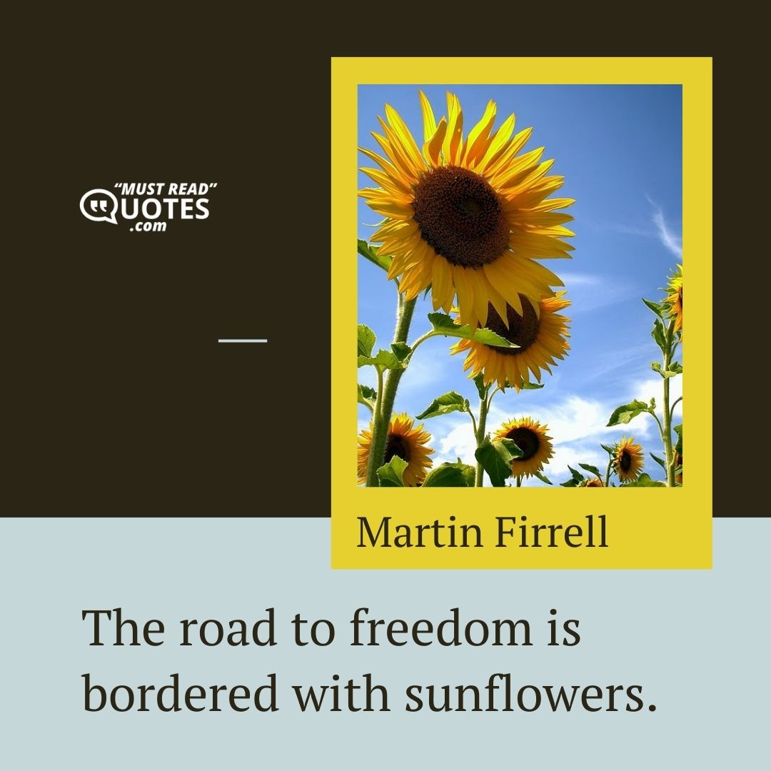 The road to freedom is bordered with sunflowers.