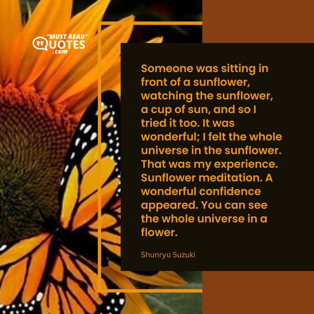 Someone was sitting in front of a sunflower, watching the sunflower, a cup of sun, and so I tried it too. It was wonderful; I felt the whole universe in the sunflower. That was my experience. Sunflower meditation. A wonderful confidence appeared. You can see the whole universe in a flower.