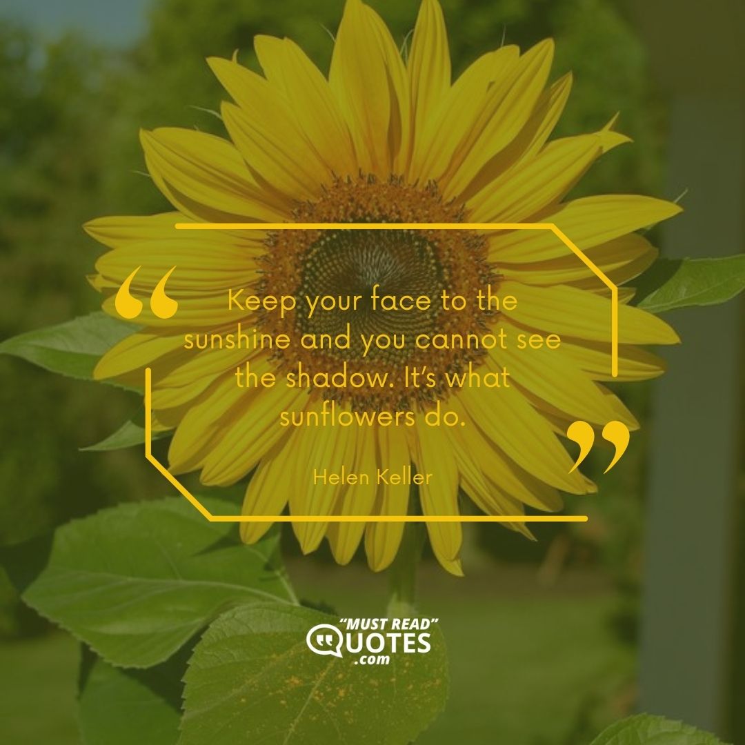 Keep your face to the sunshine and you cannot see the shadow. It’s what sunflowers do.