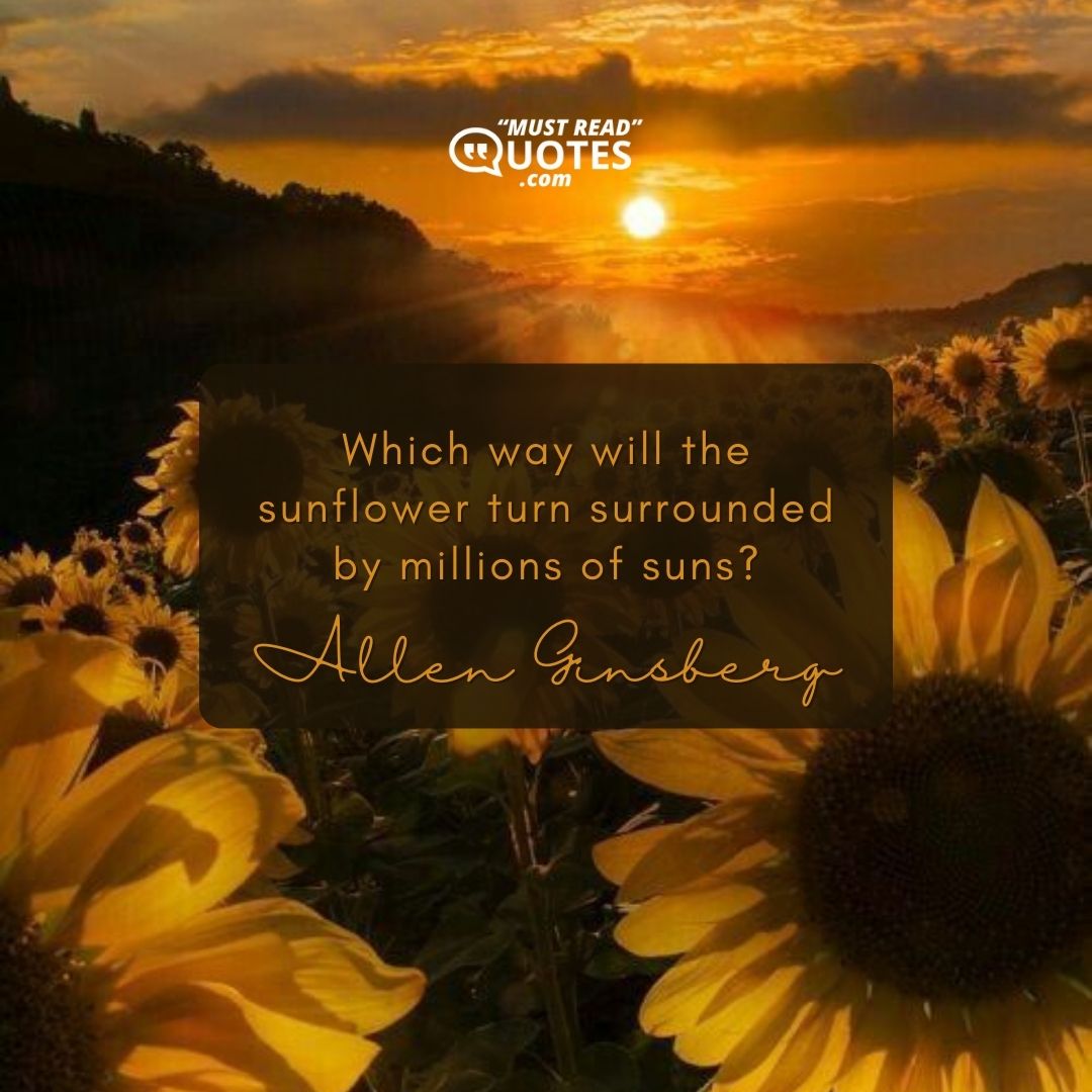 Which way will the sunflower turn surrounded by millions of suns?
