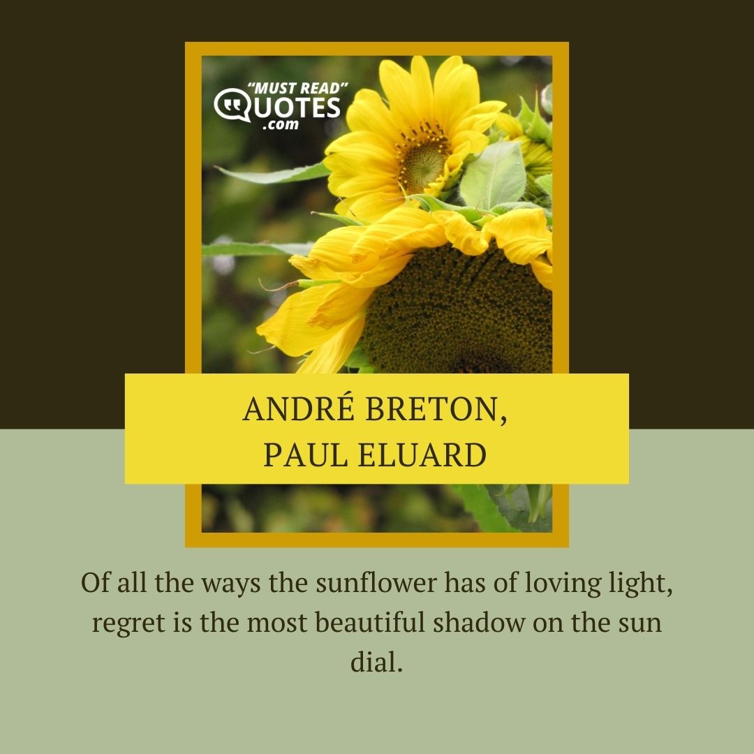 Of all the ways the sunflower has of loving light, regret is the most beautiful shadow on the sun dial.