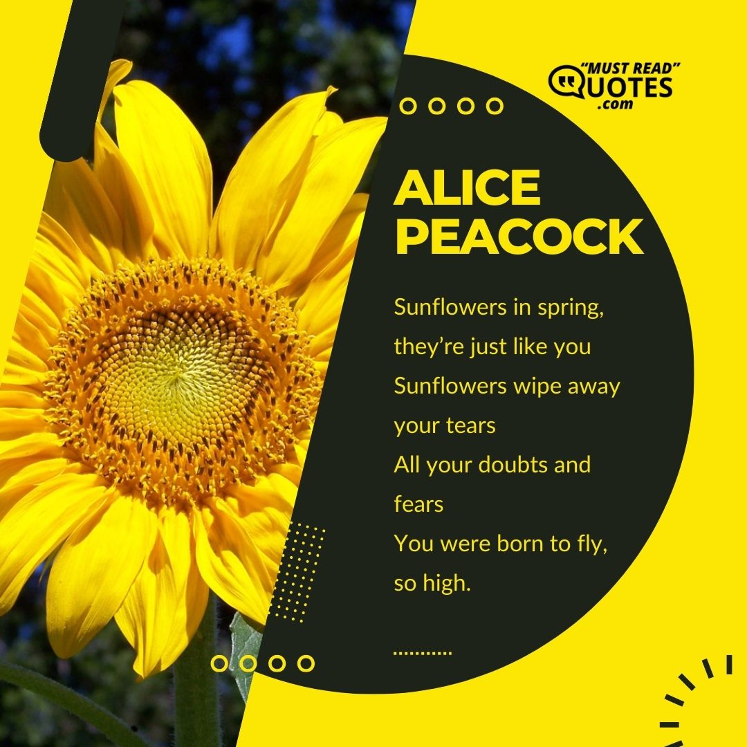 Sunflowers in spring, they’re just like you Sunflowers wipe away your tears All your doubts and fears You were born to fly, so high.