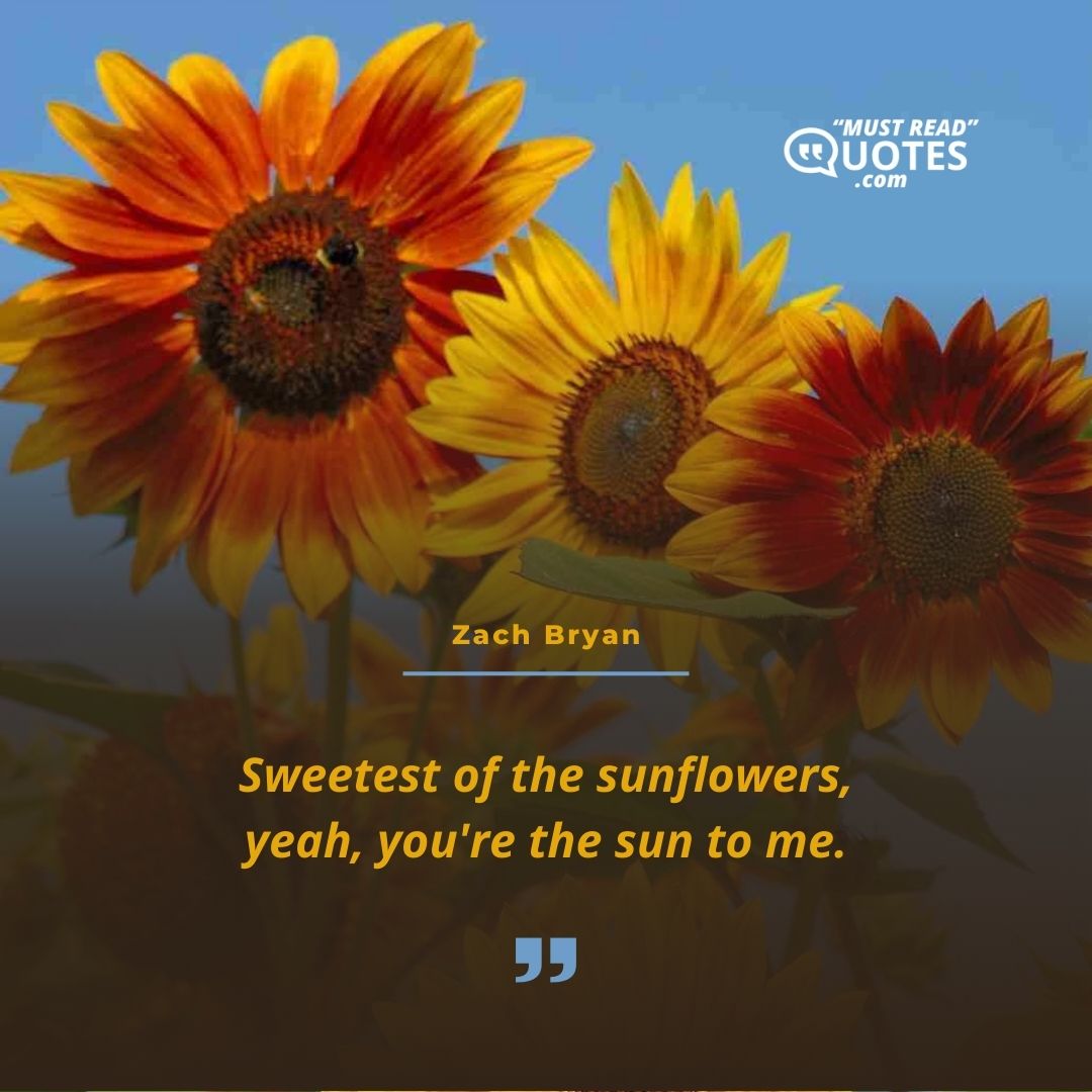 Sweetest of the sunflowers, yeah, you're the sun to me.