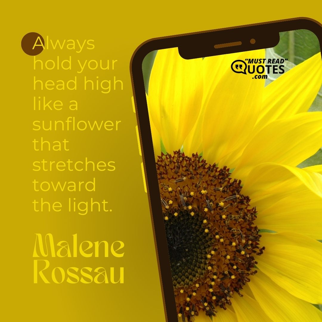 Always hold your head high like a sunflower that stretches toward the light.