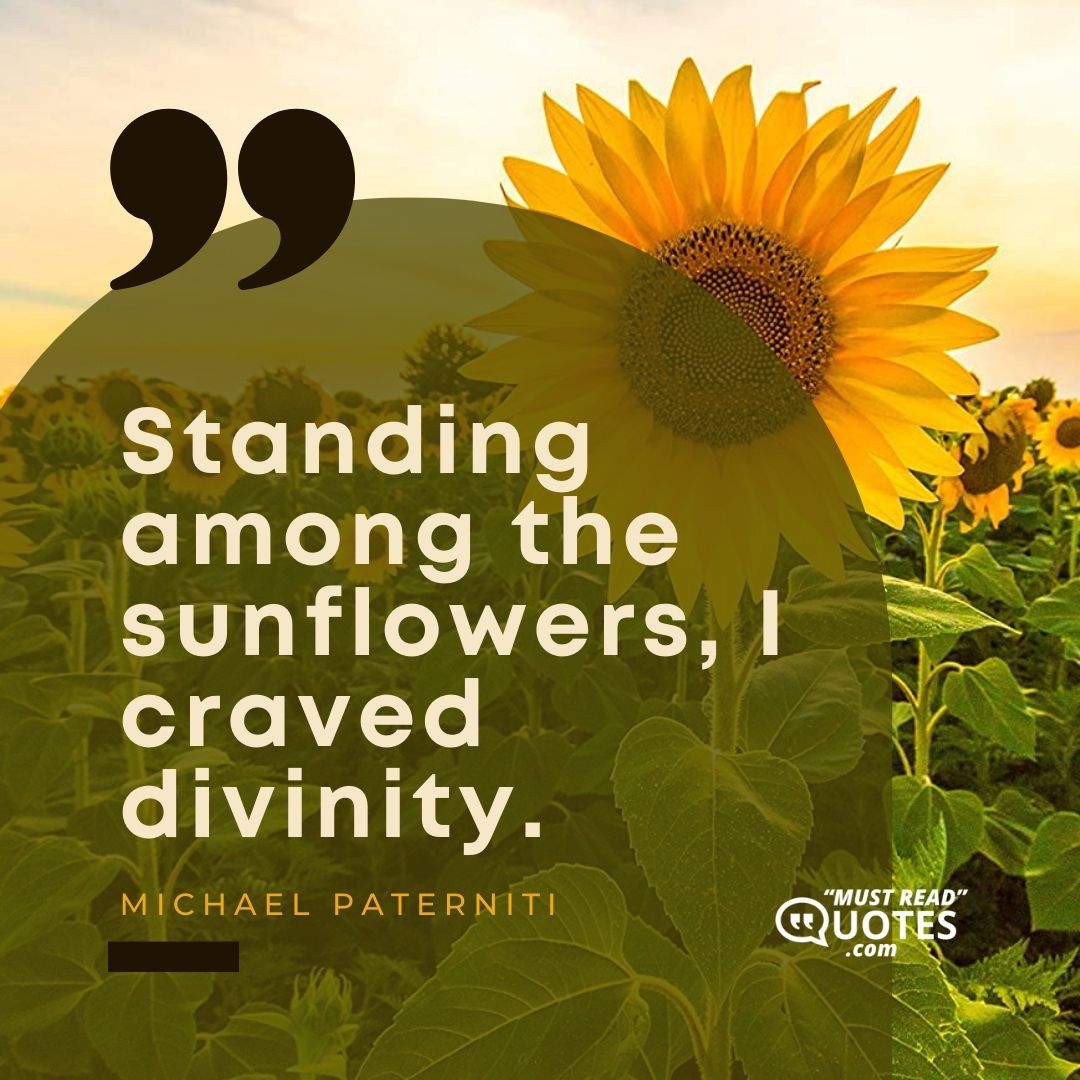 Standing among the sunflowers, I craved divinity.