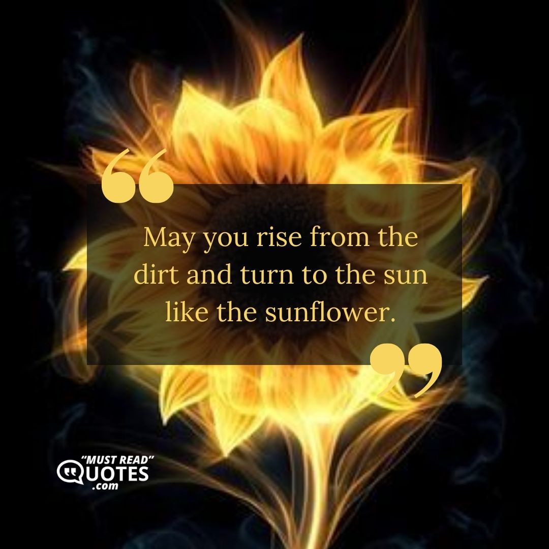 May you rise from the dirt and turn to the sun like the sunflower.