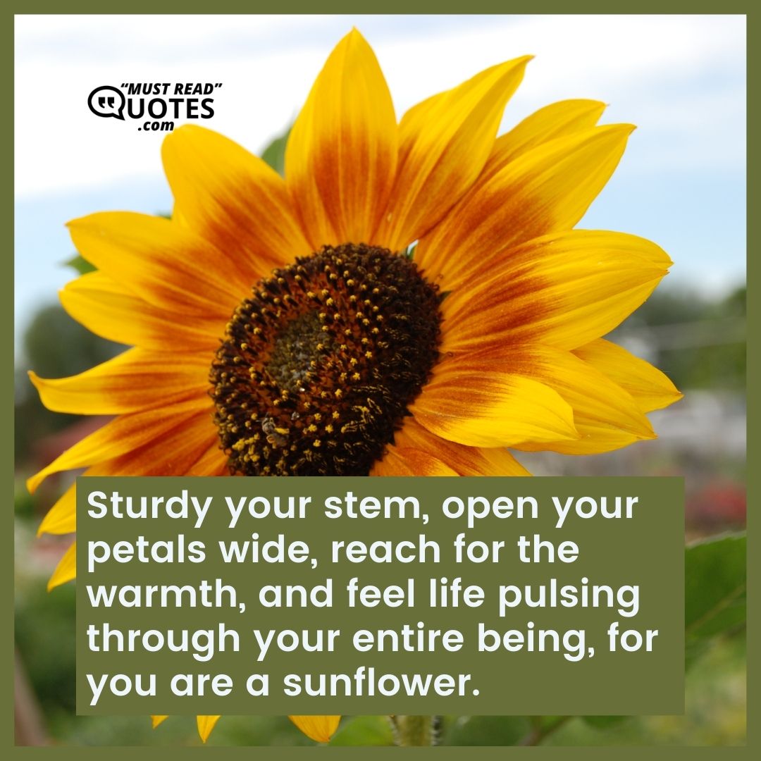 Sturdy your stem, open your petals wide, reach for the warmth, and feel life pulsing through your entire being, for you are a sunflower.