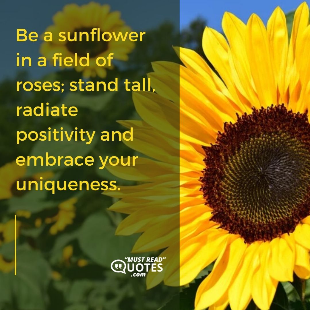 Be a sunflower in a field of roses; stand tall, radiate positivity and embrace your uniqueness.
