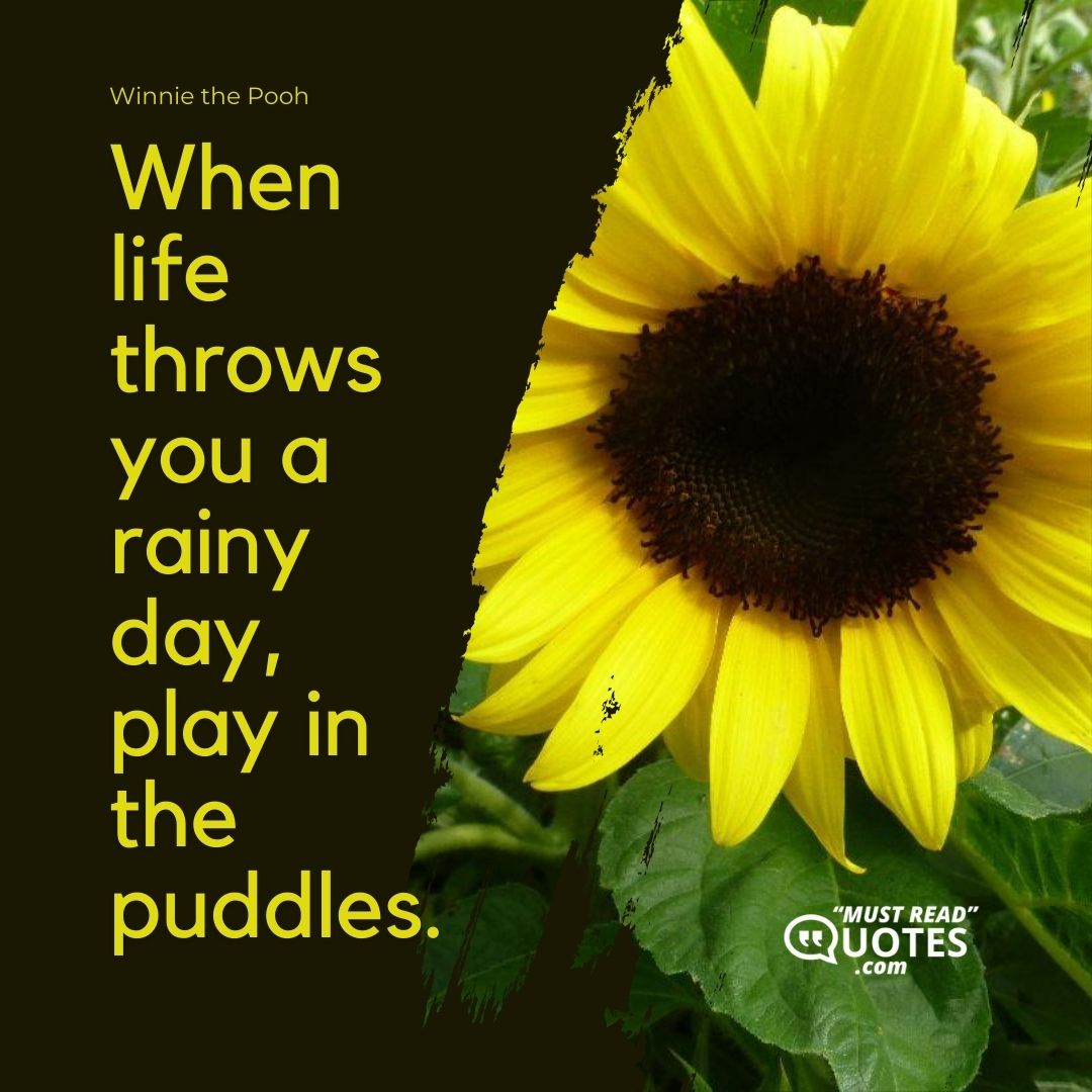 When life throws you a rainy day, play in the puddles.