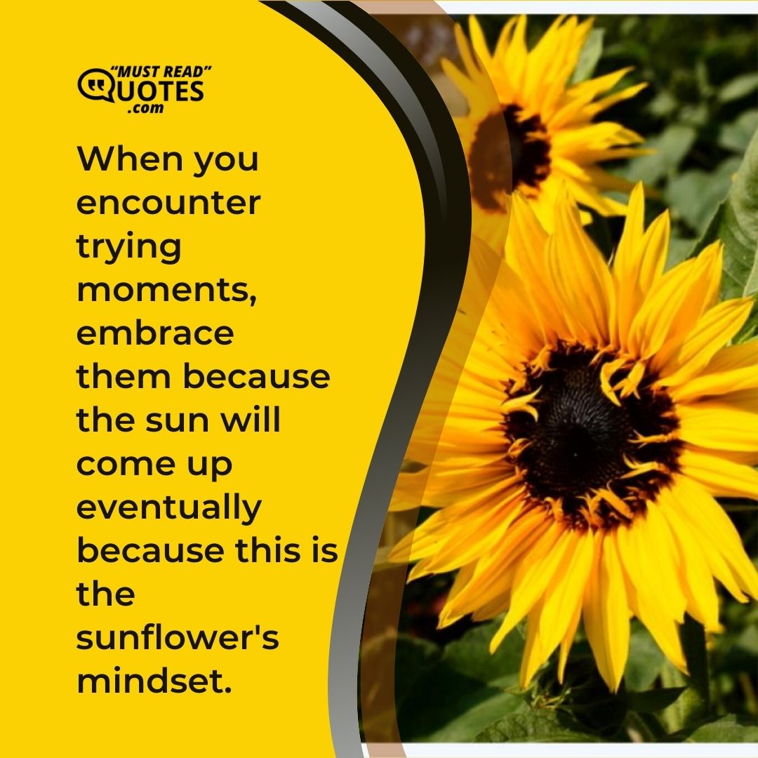 When you encounter trying moments, embrace them because the sun will come up eventually because this is the sunflower's mindset.