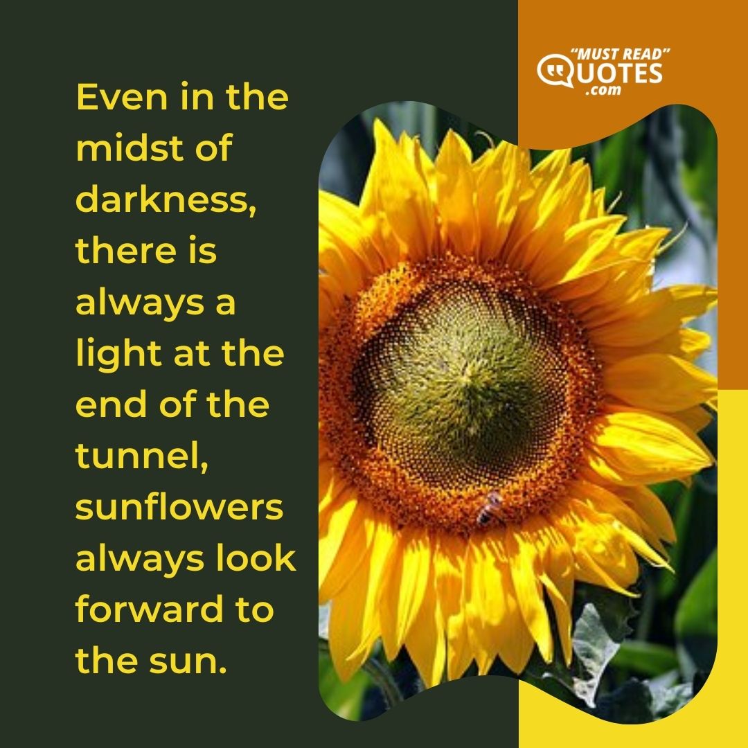 Even in the midst of darkness, there is always a light at the end of the tunnel, sunflowers always look forward to the sun.