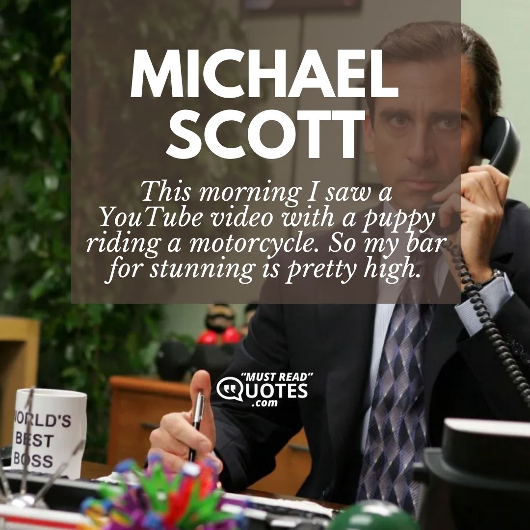 This morning I saw a YouTube video with a puppy riding a motorcycle. So my bar for stunning is pretty high.