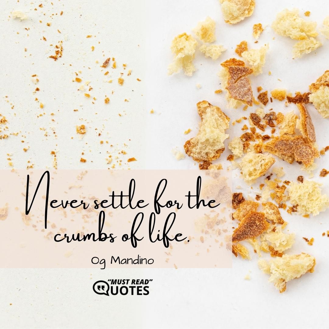 Never settle for the crumbs of life.