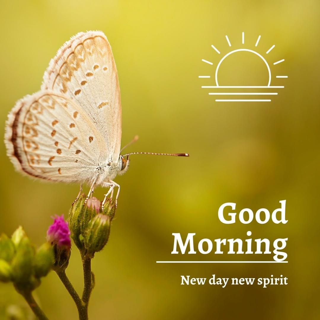 Good Morning! Always thrive on being the best version of yourself through strong will and compassion!