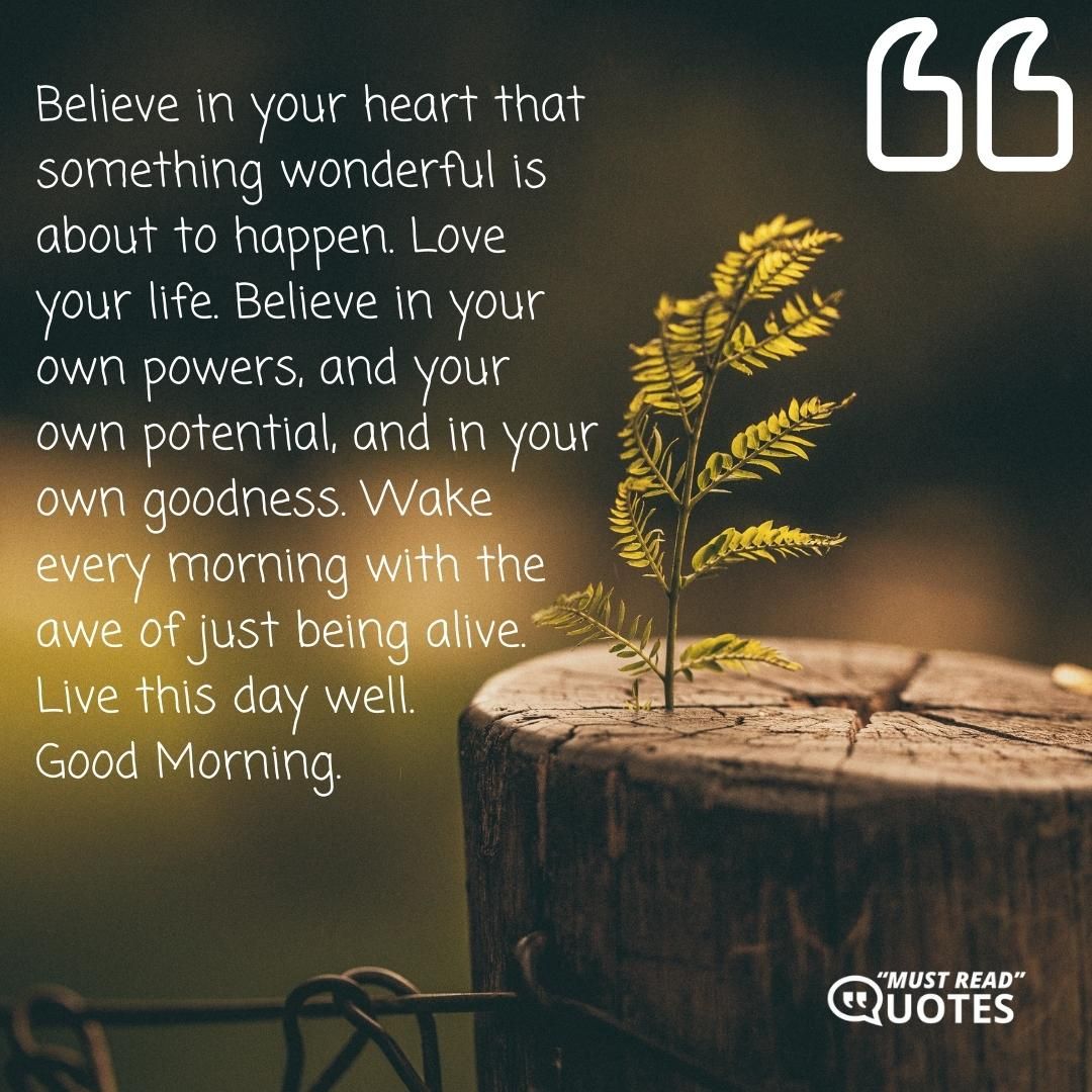 Believe in your heart that something wonderful is about to happen. Love your life. Believe in your own powers, and your own potential, and in your own goodness. Wake every morning with the awe of just being alive. Live this day well. Good Morning.