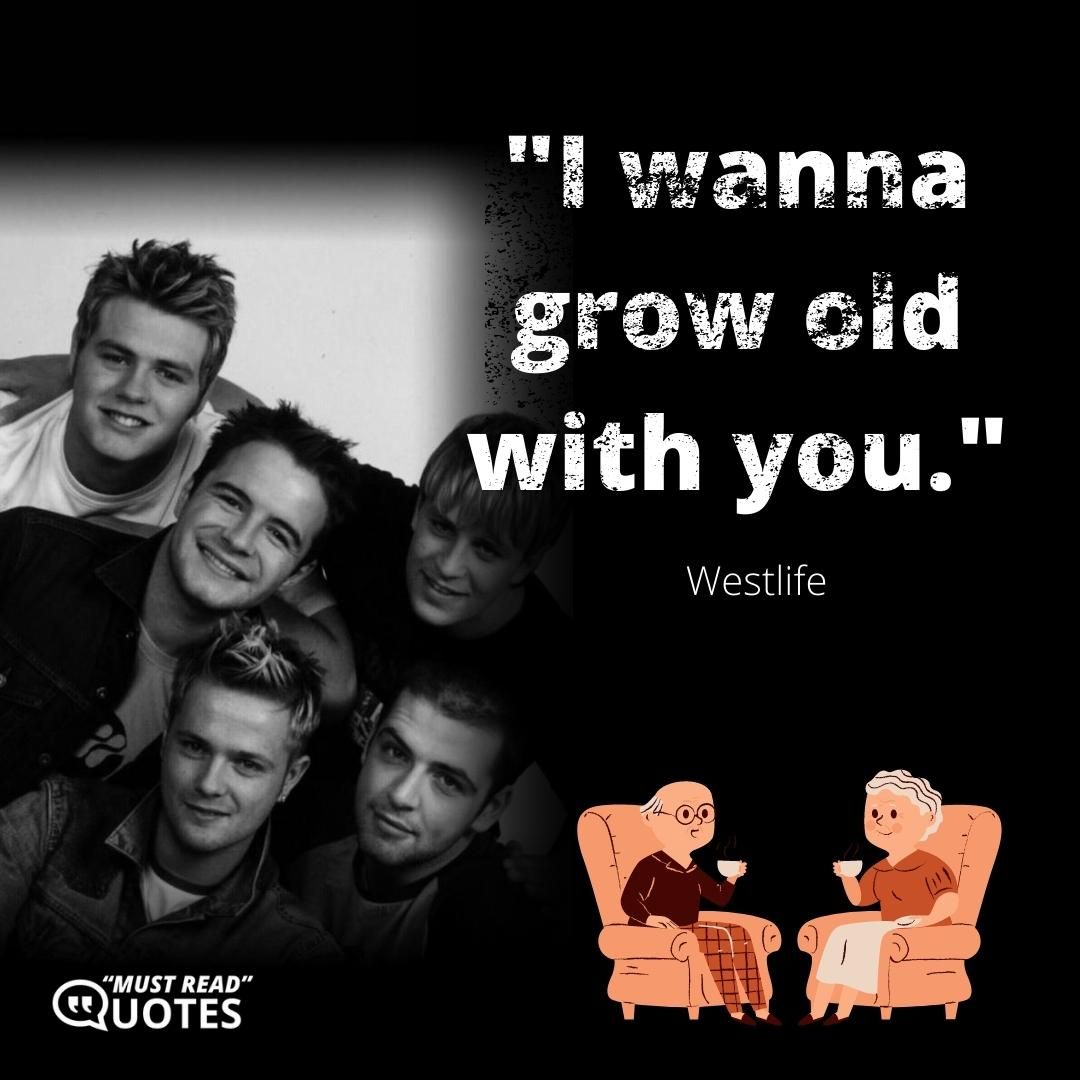 I wanna grow old with you.