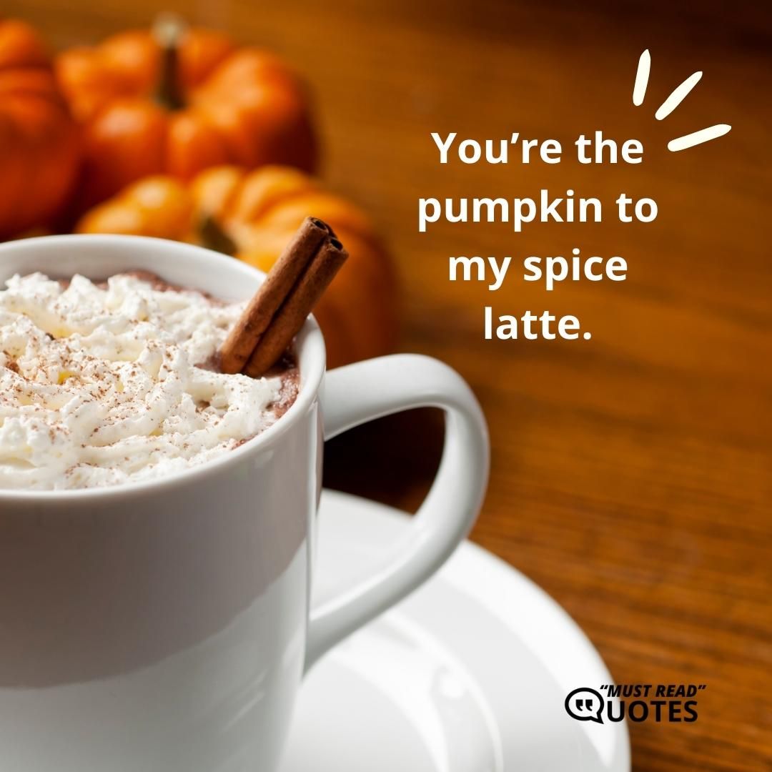 You’re the pumpkin to my spice latte.