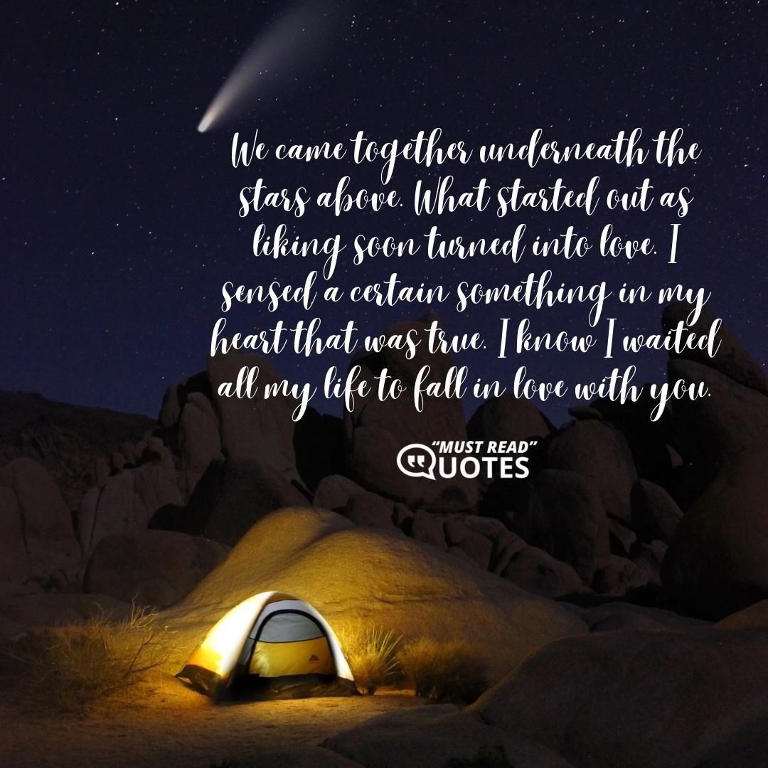 We came together underneath the stars above. What started out as liking soon turned into love. I sensed a certain something in my heart that was true. I know I waited all my life to fall in love with you.