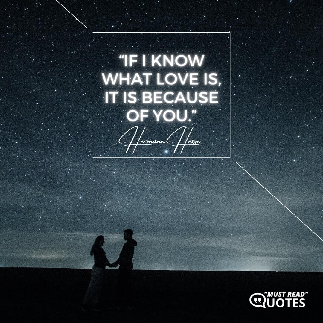 If I know what love is, it is because of you.