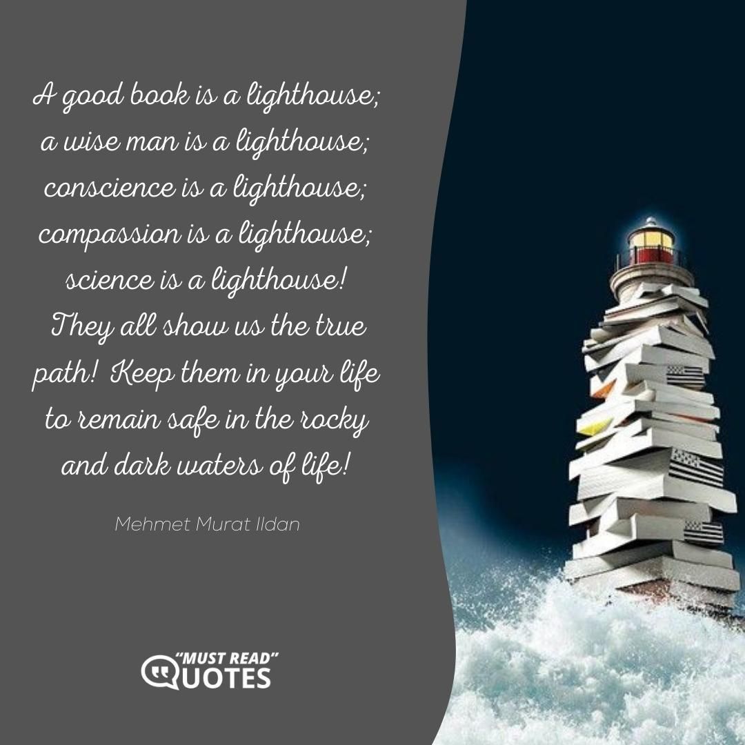 A good book is a lighthouse; a wise man is a lighthouse; conscience is a lighthouse; compassion is a lighthouse; science is a lighthouse! They all show us the true path! Keep them in your life to remain safe in the rocky and dark waters of life!