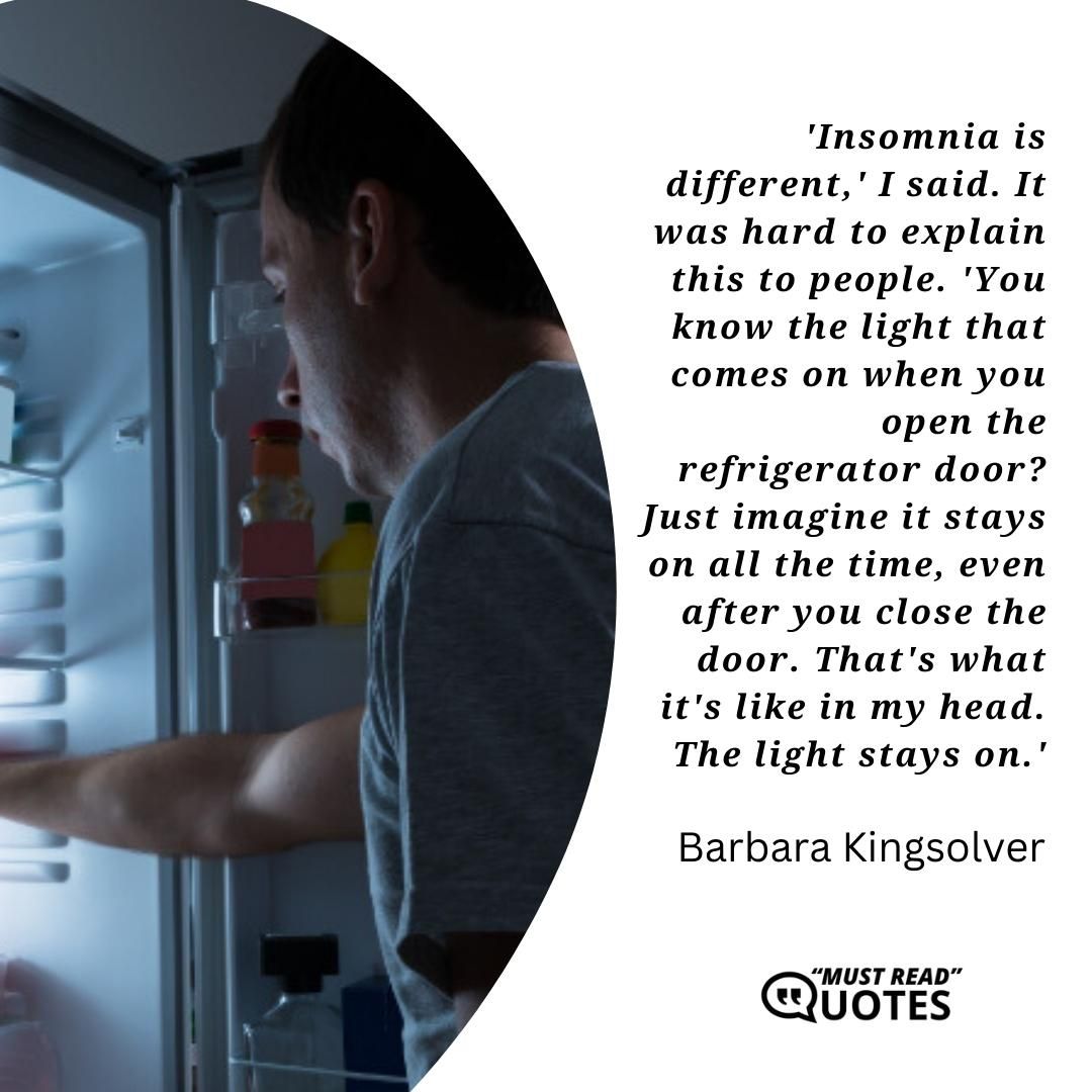 'Insomnia is different,' I said. It was hard to explain this to people. 'You know the light that comes on when you open the refrigerator door? Just imagine it stays on all the time, even after you close the door. That's what it's like in my head. The light stays on.'