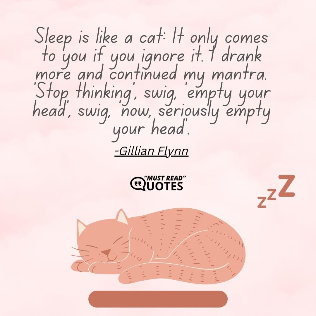Sleep is like a cat: It only comes to you if you ignore it. I drank more and continued my mantra. 'Stop thinking', swig, 'empty your head', swig, 'now, seriously empty your head'.