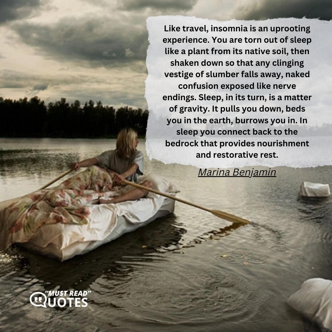 Like travel, insomnia is an uprooting experience. You are torn out of sleep like a plant from its native soil, then shaken down so that any clinging vestige of slumber falls away, naked confusion exposed like nerve endings. Sleep, in its turn, is a matter of gravity. It pulls you down, beds you in the earth, burrows you in. In sleep you connect back to the bedrock that provides nourishment and restorative rest.