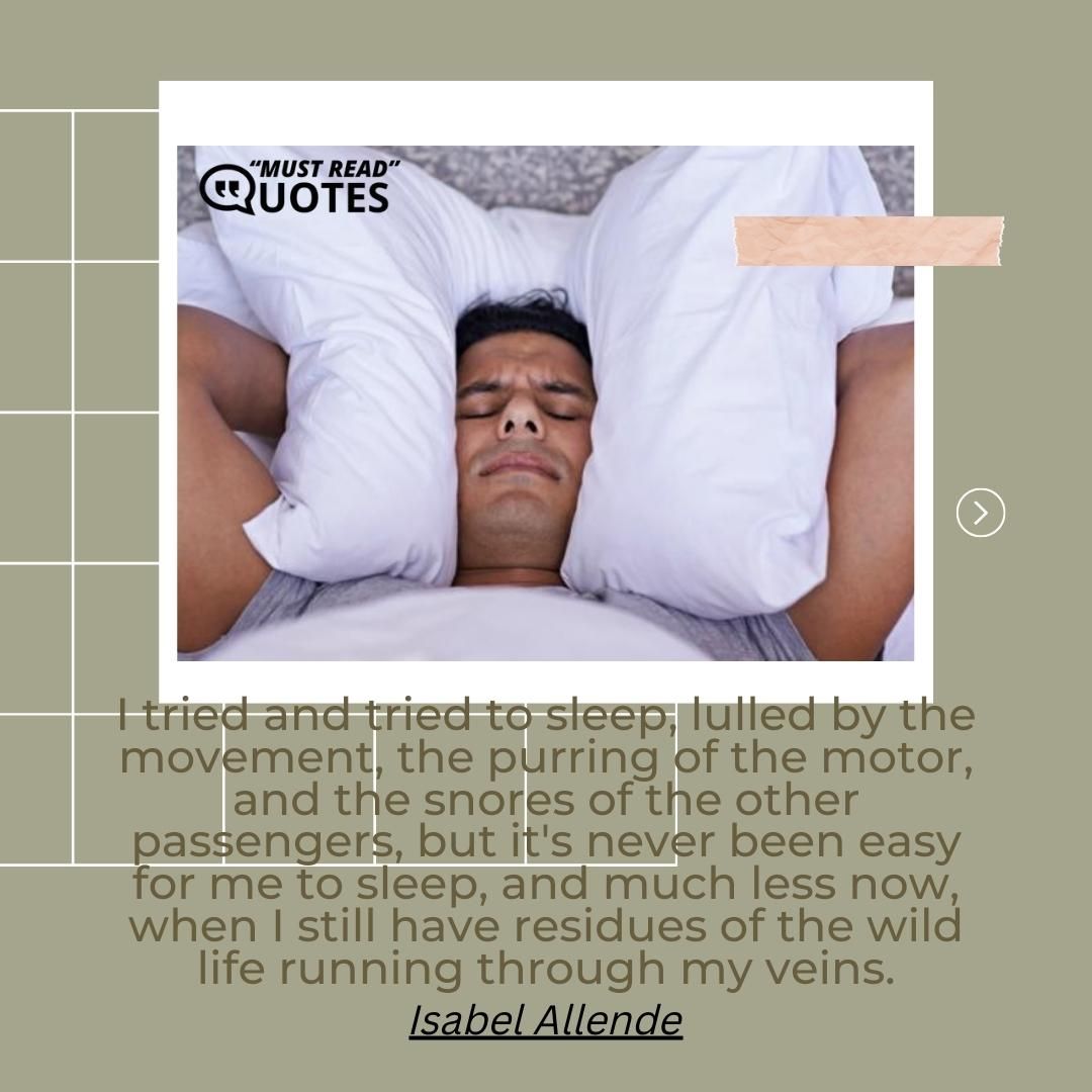 I tried and tried to sleep, lulled by the movement, the purring of the motor, and the snores of the other passengers, but it's never been easy for me to sleep, and much less now, when I still have residues of the wild life running through my veins.