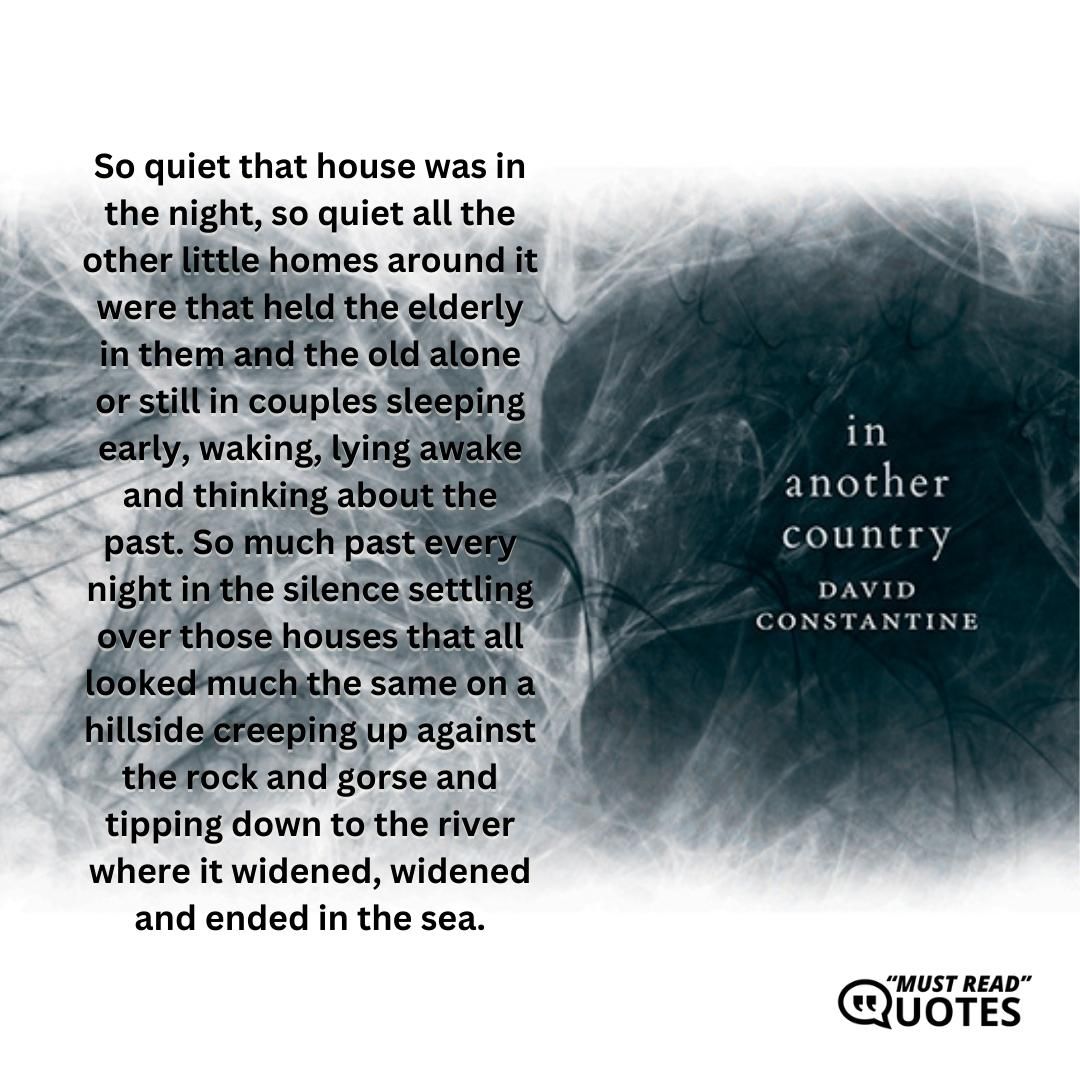 So quiet that house was in the night, so quiet all the other little homes around it were that held the elderly in them and the old alone or still in couples sleeping early, waking, lying awake and thinking about the past. So much past every night in the silence settling over those houses that all looked much the same on a hillside creeping up against the rock and gorse and tipping down to the river where it widened, widened and ended in the sea.
