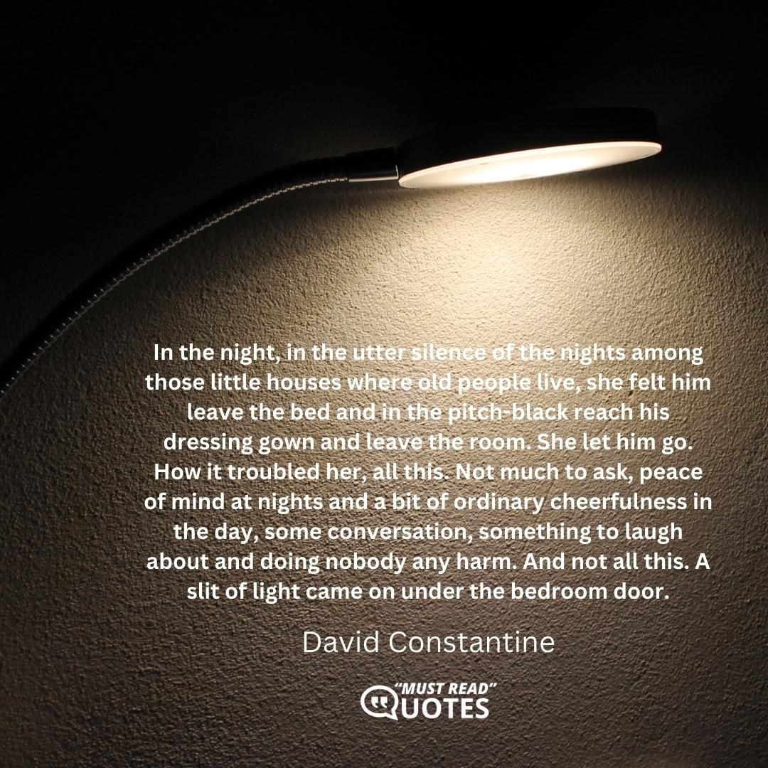 In the night, in the utter silence of the nights among those little houses where old people live, she felt him leave the bed and in the pitch-black reach his dressing gown and leave the room. She let him go. How it troubled her, all this. Not much to ask, peace of mind at nights and a bit of ordinary cheerfulness in the day, some conversation, something to laugh about and doing nobody any harm. And not all this. A slit of light came on under the bedroom door.