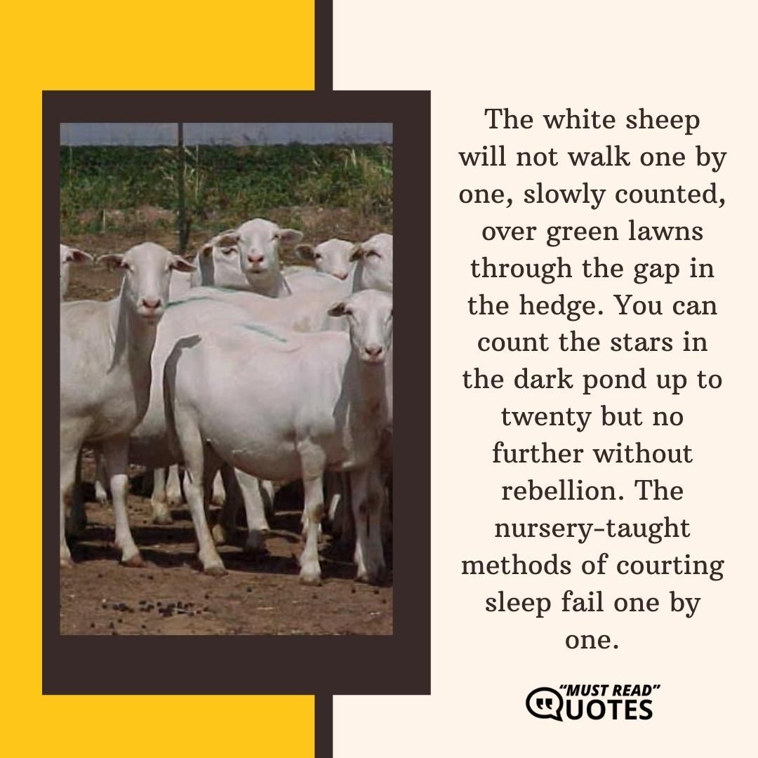 The white sheep will not walk one by one, slowly counted, over green lawns through the gap in the hedge. You can count the stars in the dark pond up to twenty but no further without rebellion. The nursery-taught methods of courting sleep fail one by one.