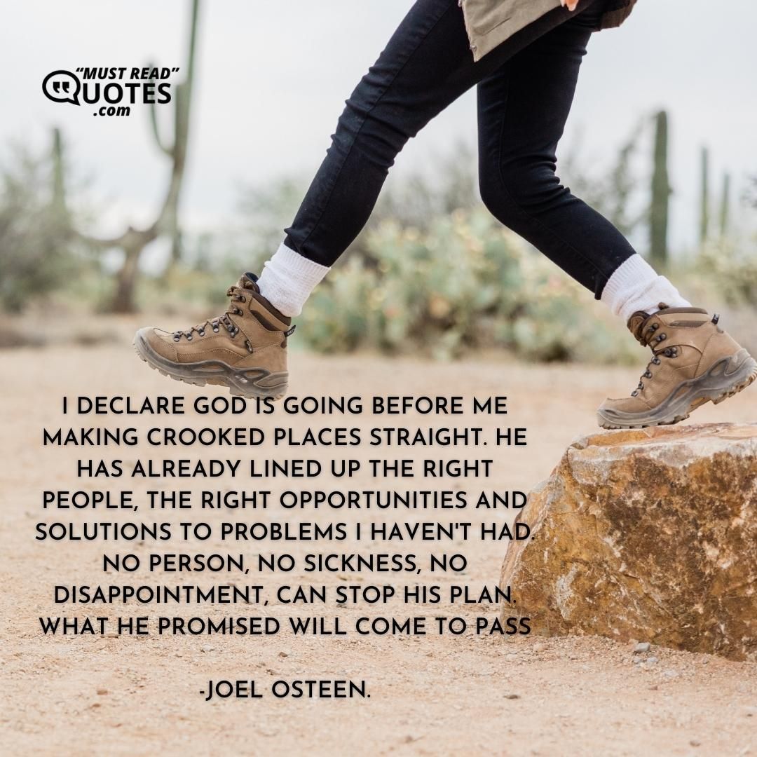 I DECLARE God is going before me making crooked places straight. He has already lined up the right people, the right opportunities and solutions to problems I haven't had. No person, no sickness, no disappointment, can stop His plan. What he promised will come to pass.